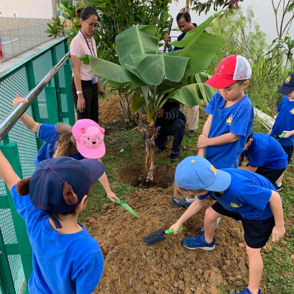 ISKL-ES-Psr-Gardening