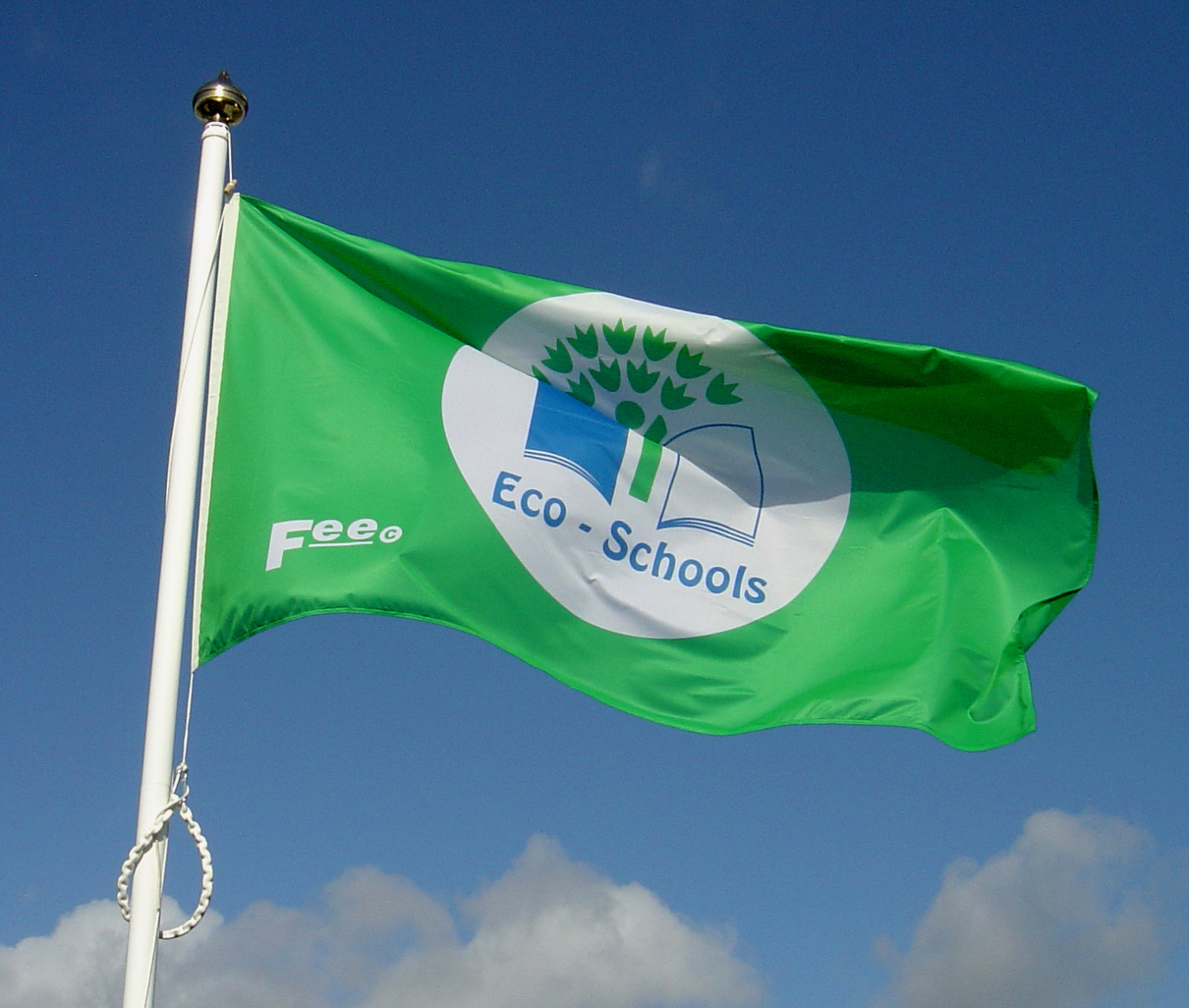 The green flag on the top of the pole