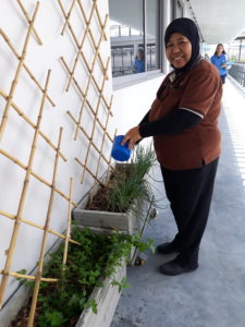 Naruma gardening
