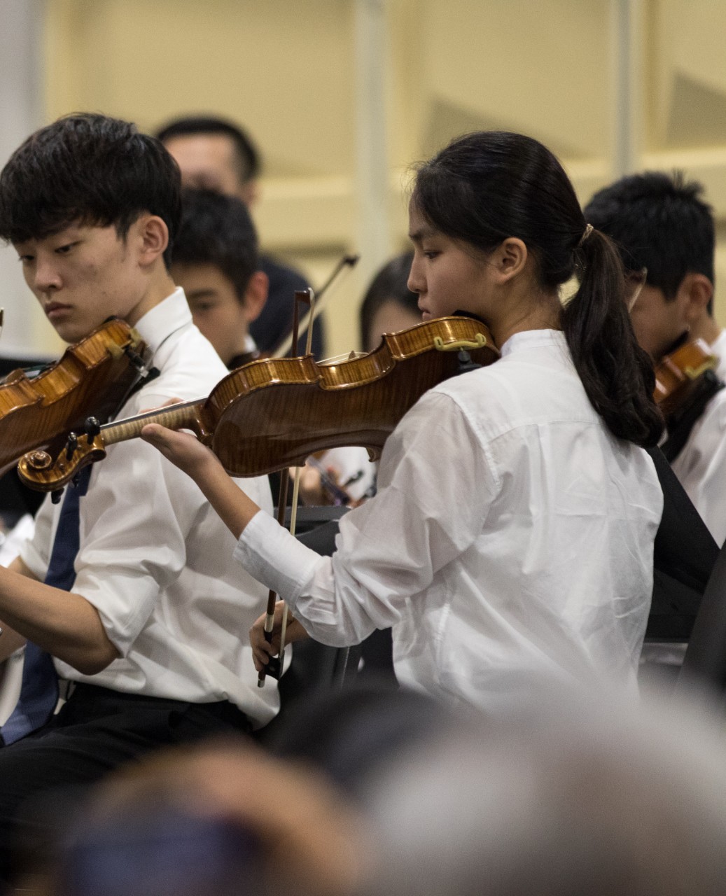 Yeong Seo in the orchestra