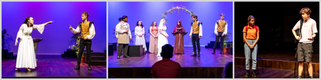 Shakespeare adaptation performance
