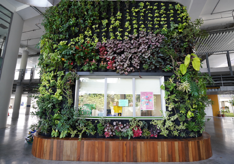 ISKL Development Fund and CAS office