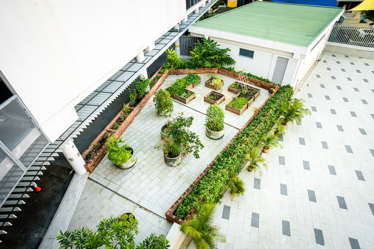 ISKL_Edible_Garden