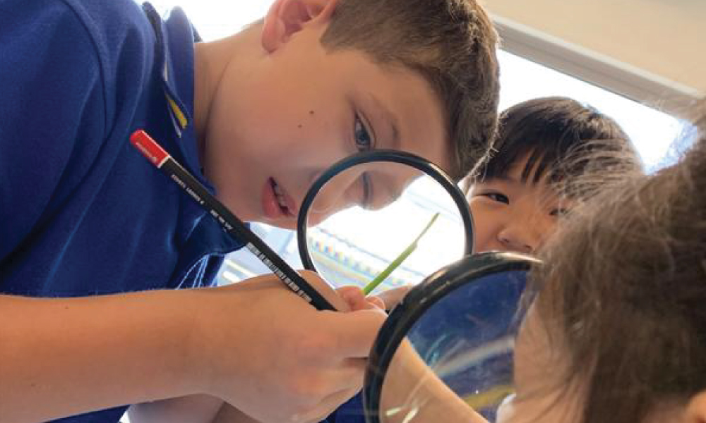 Elementary students examining a plant in science class