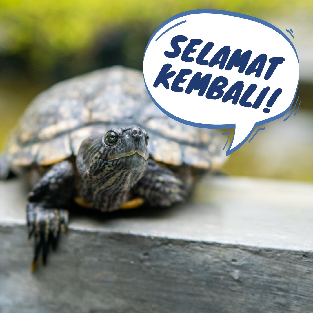 ISKL Jom Belajar! - Selamat Kembali