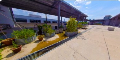 hs-science-garden