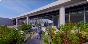 ms-rooftop-garden