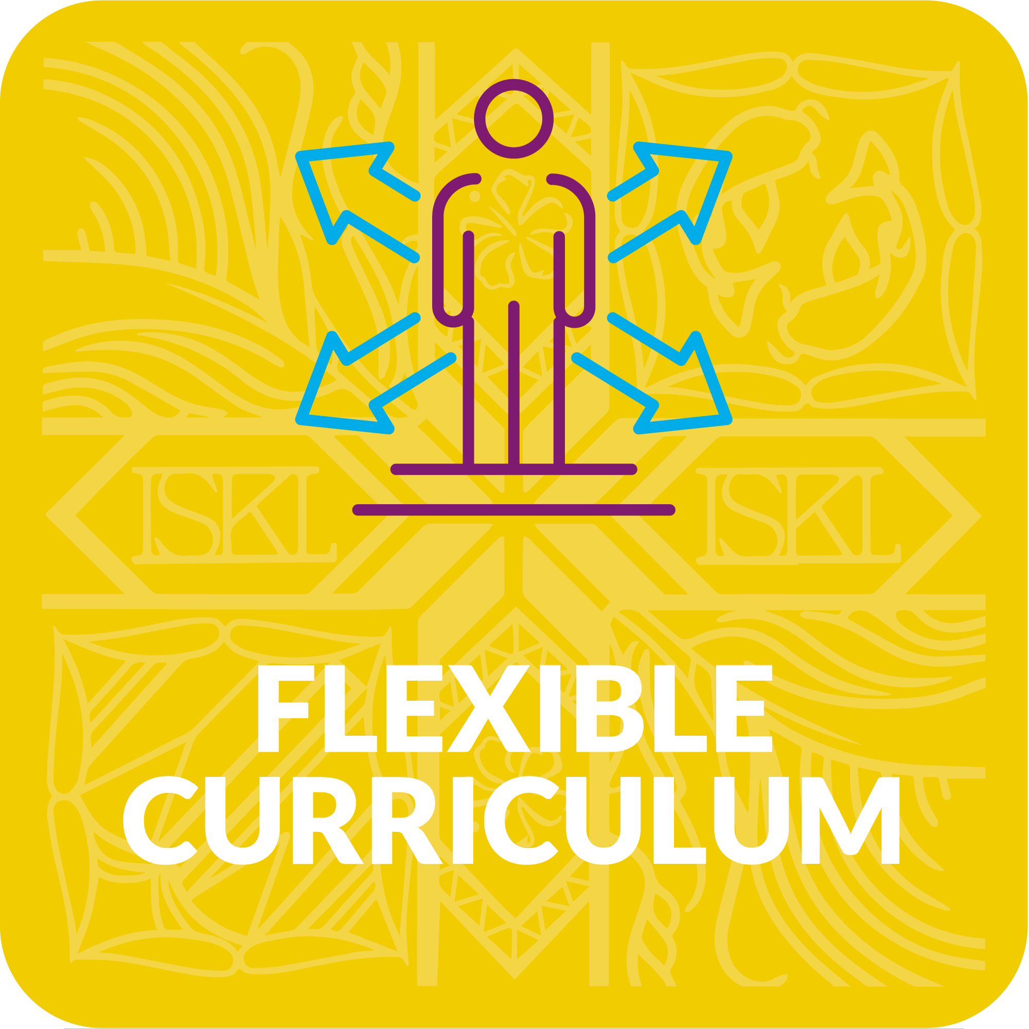 FLEXIBLE-CURICULUM