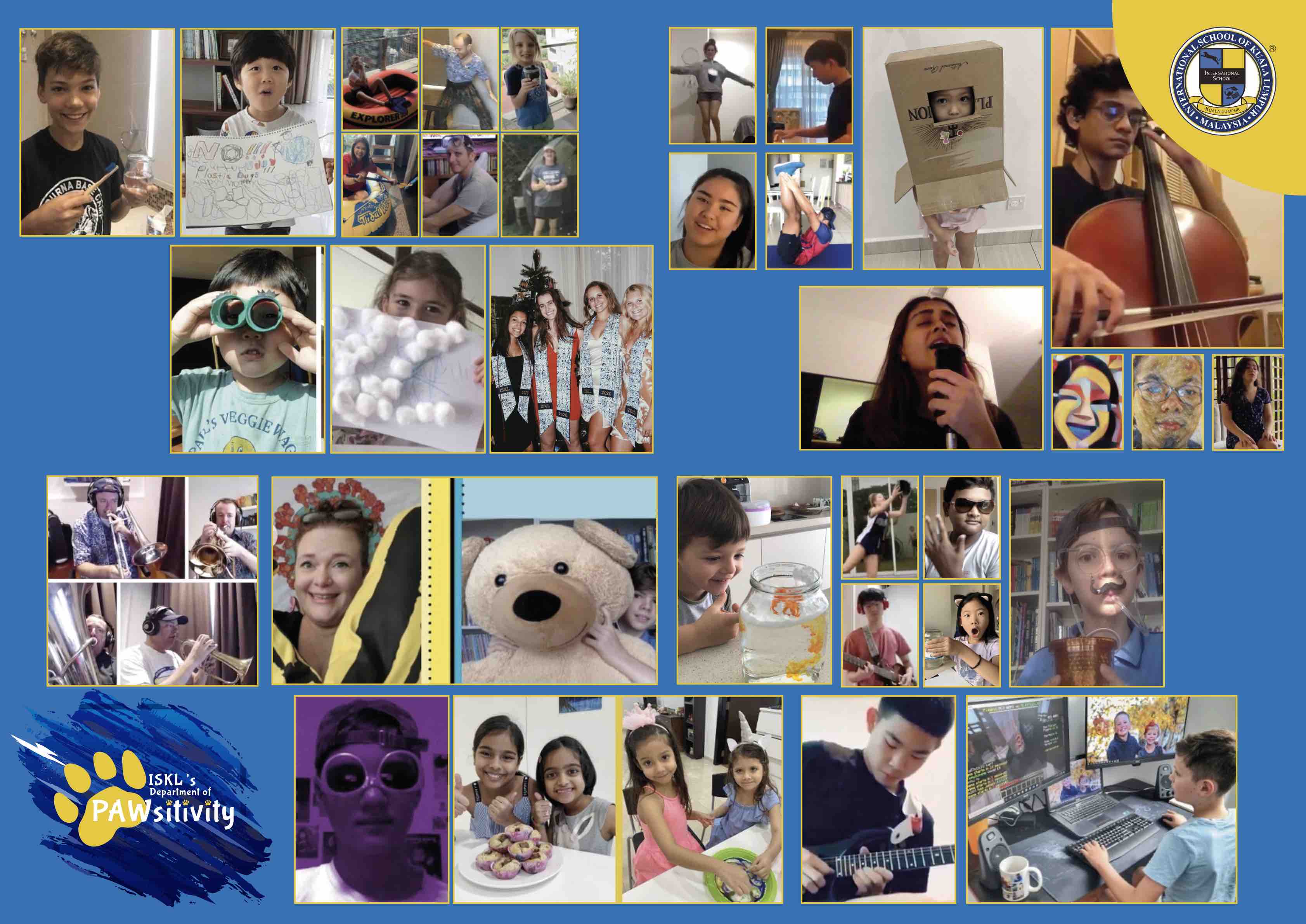 Students PAWsitivity activities