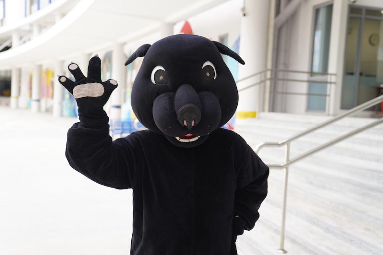 Roary The Panther