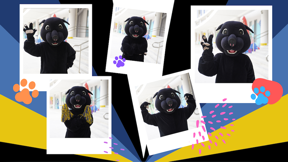 Roary The Panther