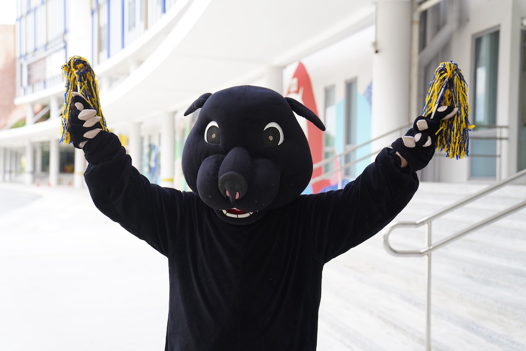 Roary the Panther Cheering