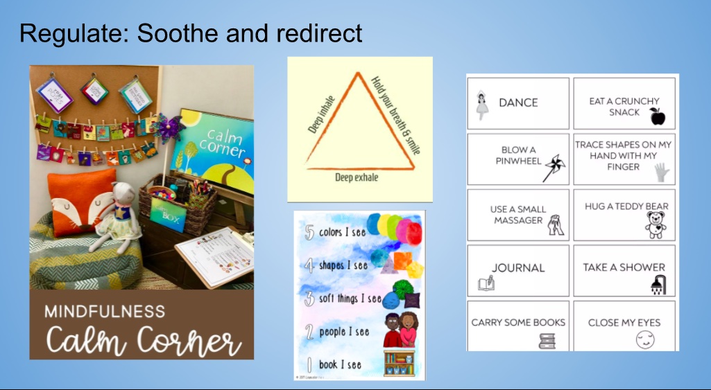Self-Regulation at Home Slides-4