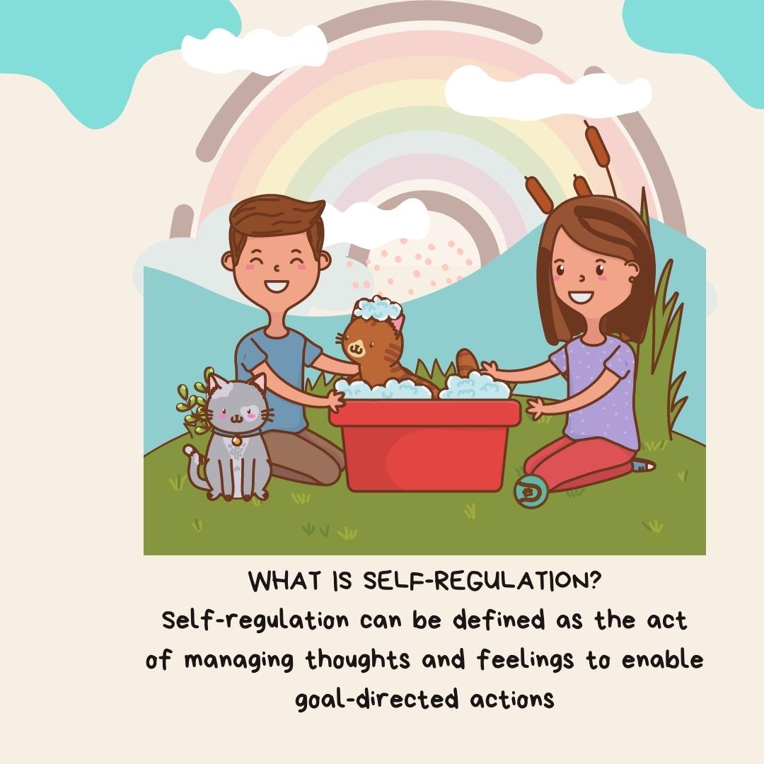 Website Blog Self-Regulation at Home Thumbnail