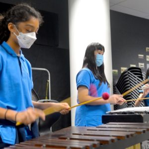 MS Music