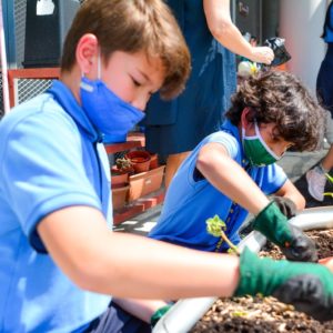 MS Gardening