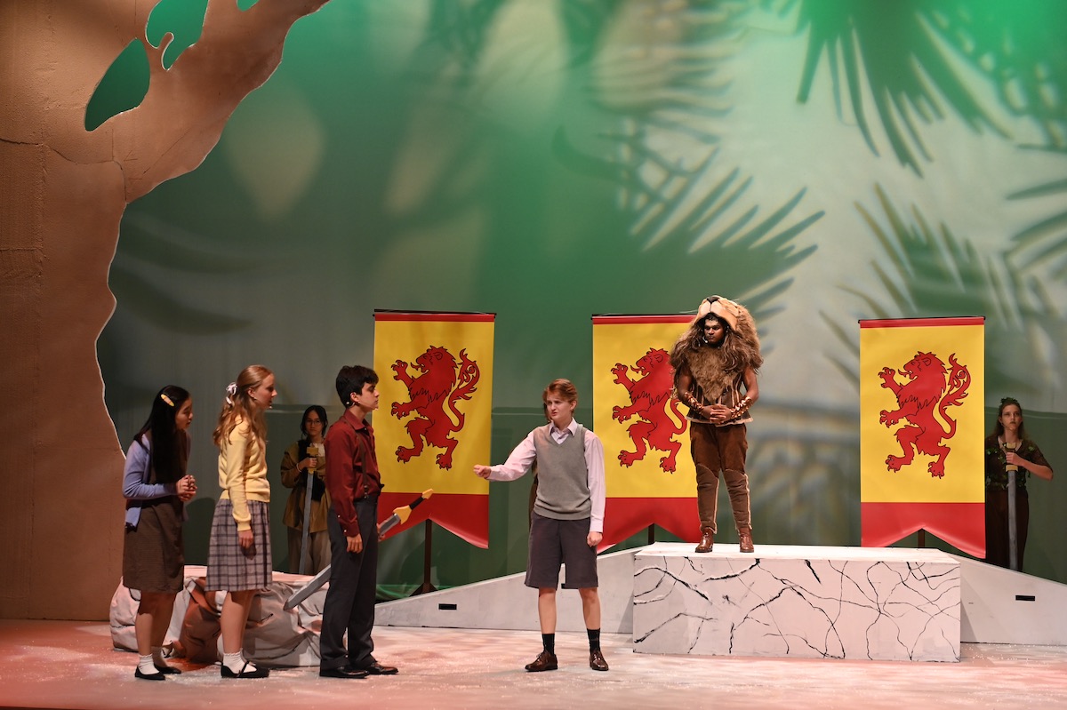 The Lion, The Witch & The Wardrobe MS Play