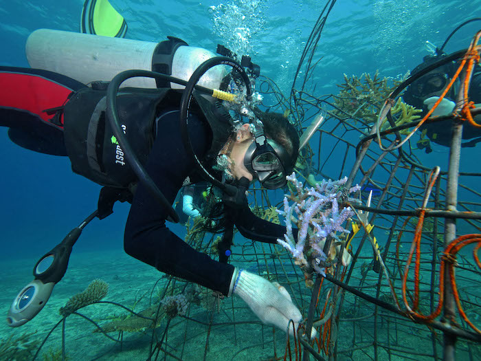 ISKL GAP Bali dive