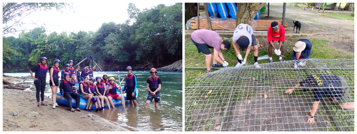 Kiulu Jungle Nursery Project