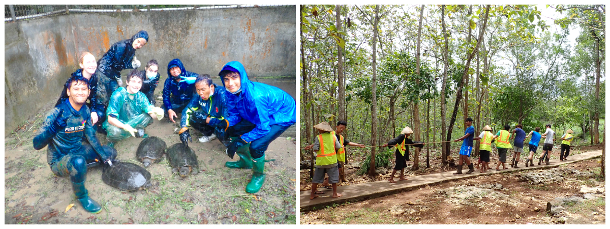 Jogjakarta Wildlife Rescue Project