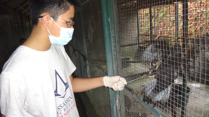 ISKL GAP student at a local wildlife centre