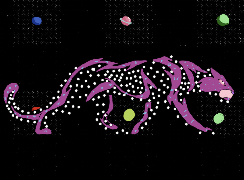 POISKL 2022-2023-Angel Z-Galaxy Panther Art